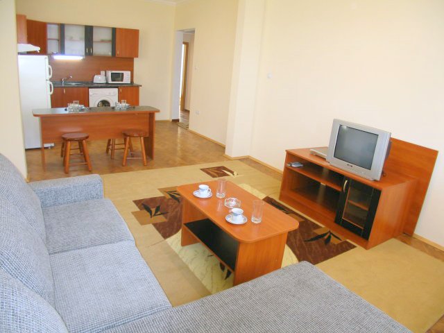 Vitosha Apartment - Offer
